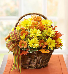 Fall Daisy Basket Davis Floral Clayton Indiana from Davis Floral